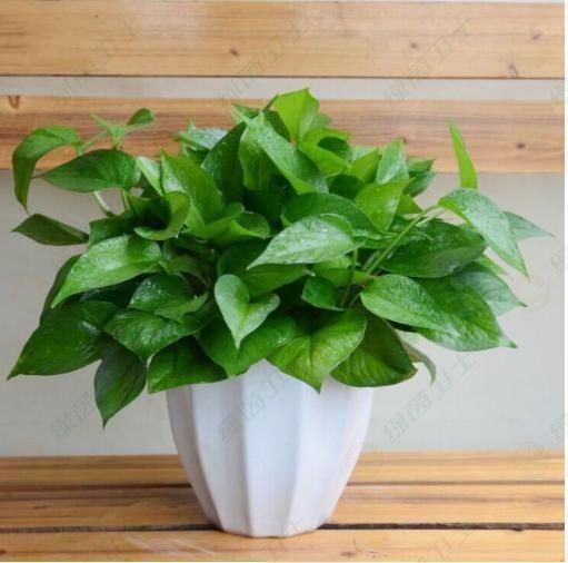 「新房空氣檢測(cè)」無(wú)錫一平方米甲醛多少錢(qián)？費(fèi)