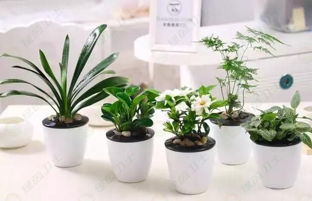 空氣污染的危害