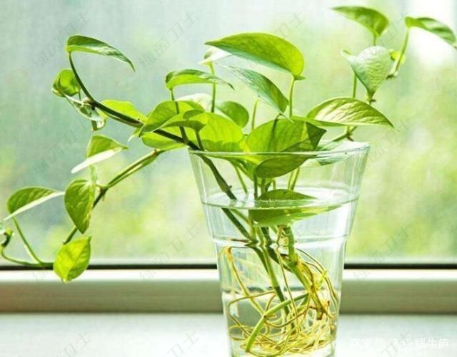 「綿陽(yáng)甲醛檢測(cè)」裝修前后五個(gè)環(huán)節(jié)甲醛及裝修污染的防治