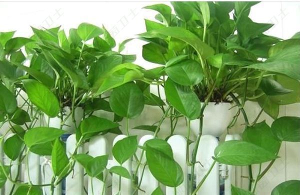 「超標(biāo)率」如何預(yù)防汽車(chē)甲醛