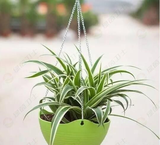 「上海室內空氣檢測」去除甲醛的可靠方法是什么？