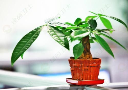 「檢測室內空氣」除甲醛要找專業(yè)治理公司靠譜嗎？